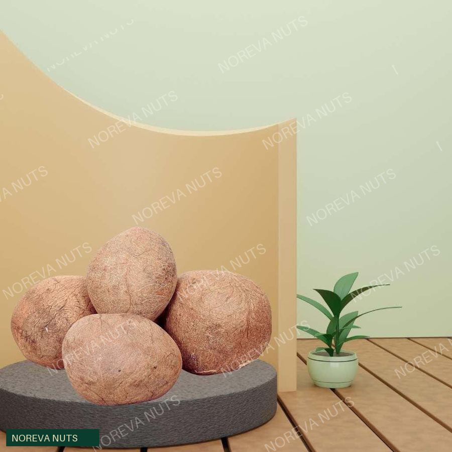 Gola, Dried Coconut, Indian – Naturally Fibre-Rich